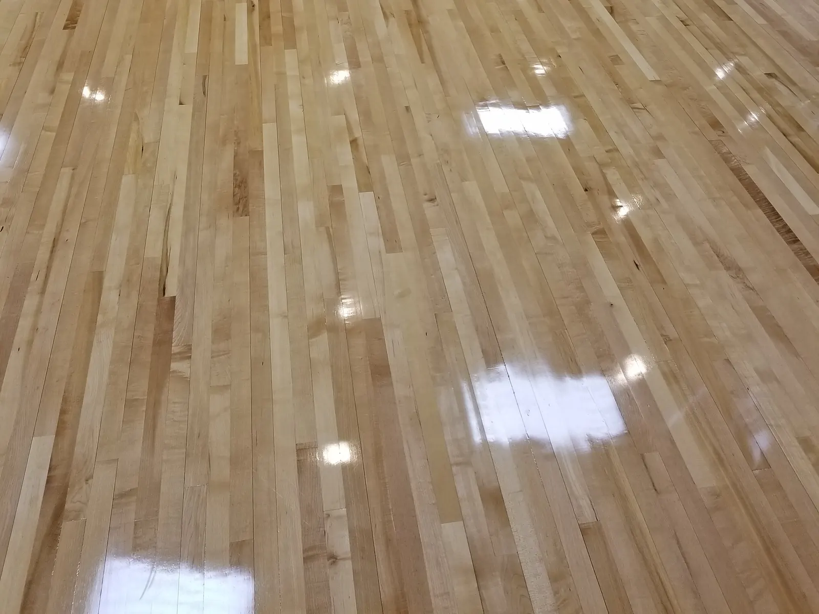 Office, Commercial & Janitorial Cleaning result by L&G Cleaning Services in the Denver metro